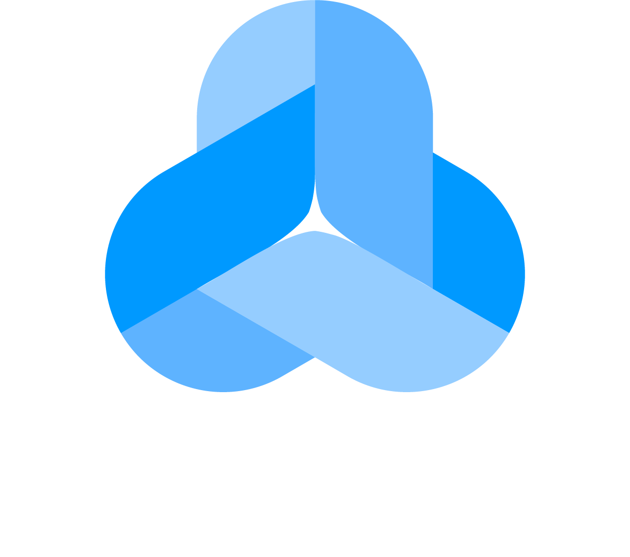 Cloudwiise Consulting logo